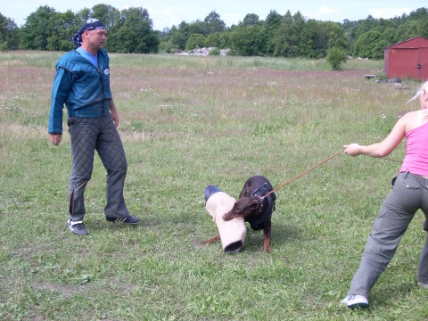 Training in Estonia 6/2007